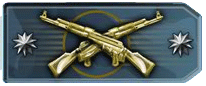 Master Guardian Elite